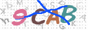 Obraz CAPTCHY