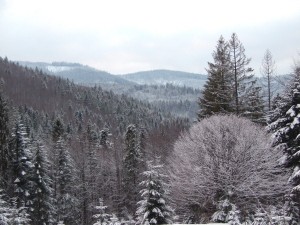 Zima w Żywcu