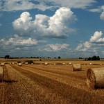 konkurs-zdjecie-podlasie-2011-Adam-Falkowski-15-hajnowka