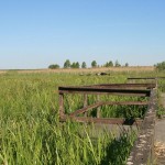 Kładka nad Bagnami Biebrzańskimi