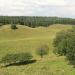 Polodowcowa rzeźba terenu w Suwalskim Parku Krajobrazowym