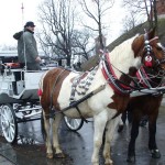 Krakowski Orszak Trzech Króli 2012 [fotorelacja]