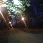 Park na Górce nocą